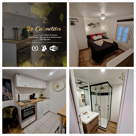 Le Petit Triplex Des Carmelites -coeur Historique Apartment *