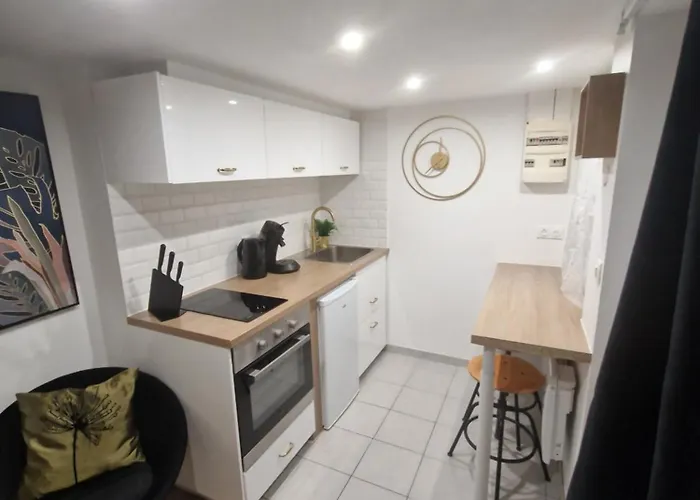 Le Petit Triplex Des Carmelites -coeur Historique *