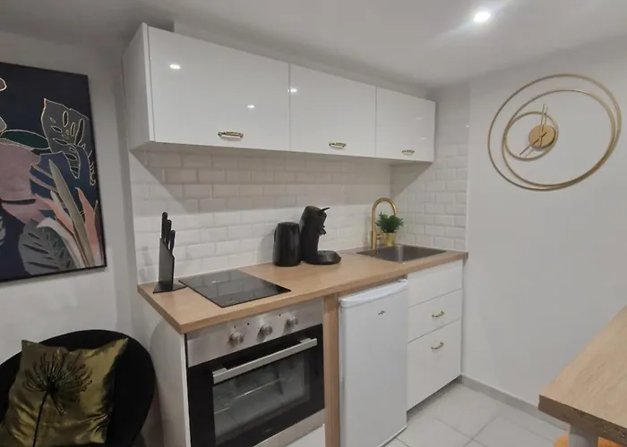 Appartement Le Petit Triplex Des Carmelites -coeur Historique *